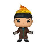 Harry #1917 Home Alone 2 Lost in New York Funko Pop out of box