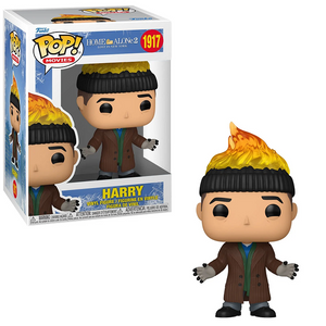 Harry #1917 Home Alone 2 Lost in New York Funko Pop in box and out of box