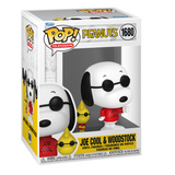 Joe Cool & Woodstock Funko Pop #1680 Peanuts in box only
