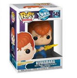 Kuwabara #545 Yu Yu Hakusho Funko Pop! Animation figure inside display box.