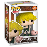 Meliodas With Hawk #1497 Seven Deadly Sins Funko Pop displayed inside the box, front view