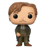 Remus Lupin #45 Harry Potter Funko Pop figure unboxed