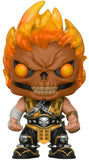 Scorpion Flaming Skull #255 Mortal Kombat Funko Pop out of box