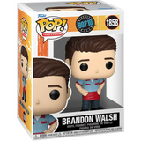 Brandon Walsh #1858 Beverly Hills 90210 Funko Pop in display box