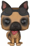 Dogmeat #76 Fallout Funko Pop! figure with red bandana and goggles out of box