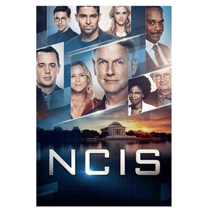 NCIS The Seventeenth Season